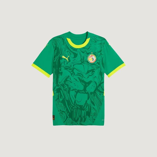 Sénégal - Maillot Extérieur 24/25 - Vert, Jaune - Ashford&Co